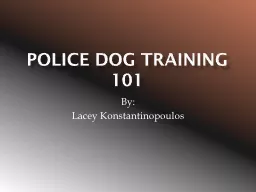 Police Dog Training 101