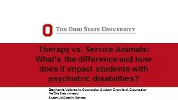 Therapy vs. Service Animals: