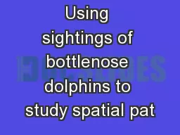 Using sightings of bottlenose dolphins to study spatial pat