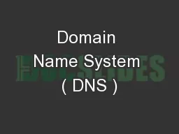 Domain Name System ( DNS )