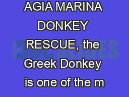 AGIA MARINA DONKEY RESCUE, the Greek Donkey is one of the m