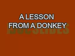 A LESSON FROM A DONKEY