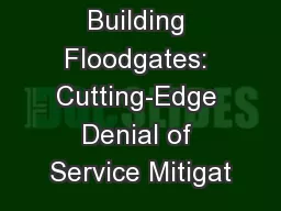 Building Floodgates: Cutting-Edge Denial of Service Mitigat