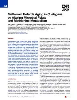 MetforminRetardsAginginC.elegansbyAlteringMicrobialFolateandMethionine