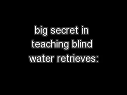 big secret in teaching blind water retrieves: