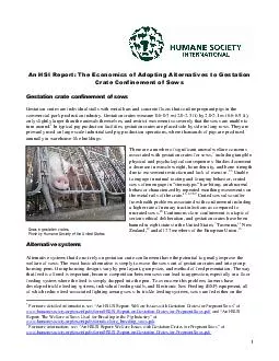 Gestation crates are individual stalls with metal b ars and concrete floors that confine