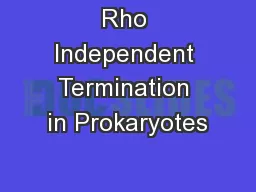Rho Independent Termination in Prokaryotes