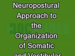 A Neuropostural Approach to the Organization of Somatic and Vestibular