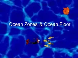 Ocean Zones & Ocean Floor