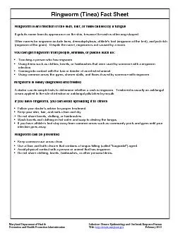 Ringworm (Tinea) Fact Sheet