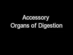 Accessory Organs of Digestion