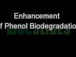 Enhancement of Phenol Biodegradation