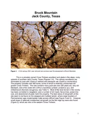 1Bruck Mountain Jack County, Texas