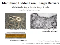Identifying Hidden Free Energy Barriers