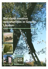 Bat roost creation opportunities in Greater London
