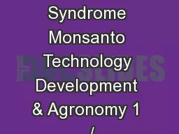 Rootless Corn Syndrome Monsanto Technology Development & Agronomy 1  /