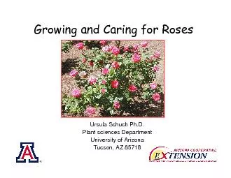 Plant sciences DepartmentUniversity of Arizona
