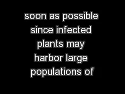 soon as possible since infected plants may harbor large populations of