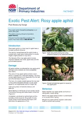 Exotic Pest Alert: Rosy apple aphid Plant Biosecurity Orange