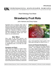 strawberry fruit rot diseases often make it dif�cult to obt