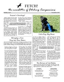 the newsletter of Fetching Companions
