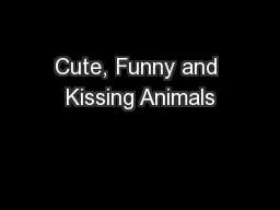 Cute, Funny and Kissing Animals