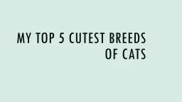 My top 5 cutest breeds of cats