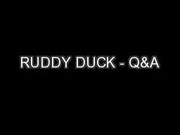 RUDDY DUCK - Q&A