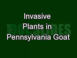 Invasive Plants in Pennsylvania Goat