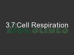 3.7:Cell Respiration