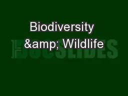 Biodiversity & Wildlife