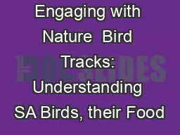 Engaging with Nature  Bird Tracks: Understanding SA Birds, their Food