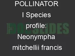 RED LIST OF POLLINATOR I Species profile: Neonympha mitchellii francis