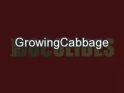 GrowingCabbage