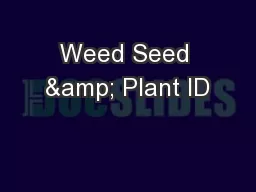 Weed Seed & Plant ID