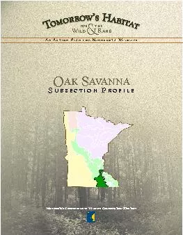 Minnesota’s Comprehensive Wildlife Conservation Strategy