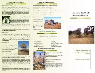 The Iowa Bur Oak Savanna Project