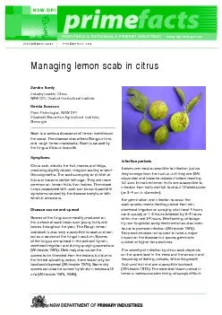 Managing lemon scab in citrus