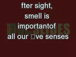 fter sight, smell is importantof all our ve senses