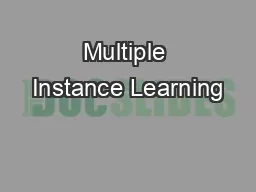 Multiple Instance Learning