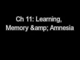 Ch 11: Learning, Memory & Amnesia
