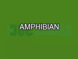 AMPHIBIAN