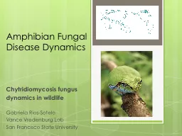 Amphibian Fungal Disease Dynamics