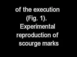of the execution (Fig. 1).  Experimental reproduction of scourge marks