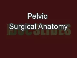 Pelvic Surgical Anatomy