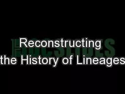 Reconstructing the History of Lineages