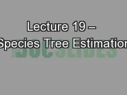 Lecture 19 – Species Tree Estimation