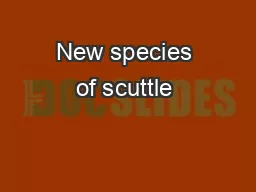 New species of scuttle �ies (Diptera: Phoridae) recorded fr