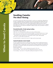 When to Seed Canola