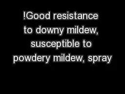 !Good resistance to downy mildew, susceptible to powdery mildew, spray